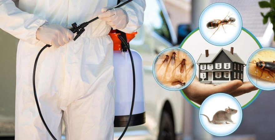 İmranlı Böcek İlaçlama