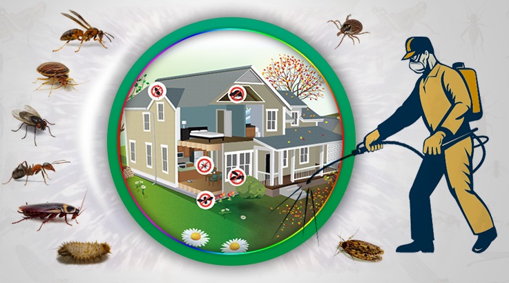 İmranlı Böcek İlaçlama