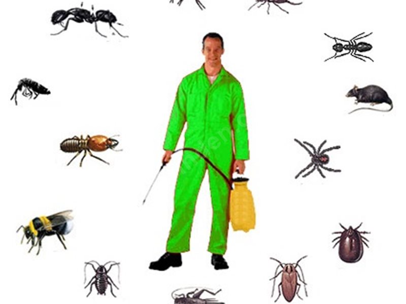 İmranlı Böcek İlaçlama